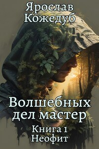 Волшебных дел мастер. Книга 1. Неофит
