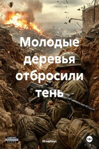 Молодые деревья отбросили тень