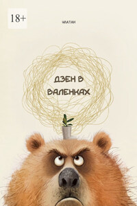 Дзен в валенках