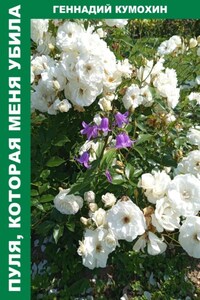 Пуля, которая меня убила.