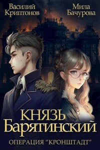 Князь Барятинский 4. Операция "Кронштадт"