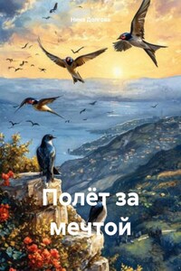 Полёт за мечтой