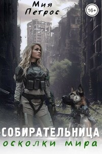 Собирательница. Осколки мира