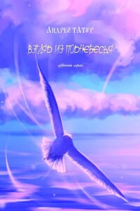 Взгляд из поднебесья. Избранная лирика