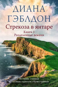 Стрекоза в янтаре. Книга 1. Разделенные веками