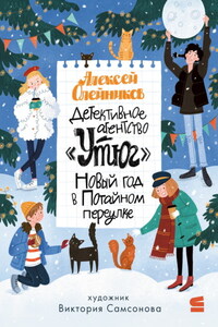 Детективное агентство «Утюг». Новый год в Потайном переулке