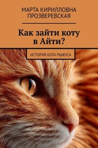 Как зайти коту в Айти? История кота Рыжуса