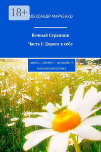 Вечный Странник. Часть I: Дорога к себе. Книга 1: Элемент – фундамент / научная фантастика