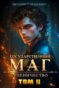 Государственный маг. Ученичество. Книга 2