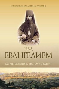 Над Евангением. Размышления, истолкования