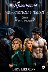 Принцесса меж светом и тьмой