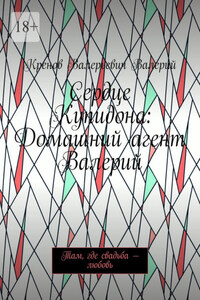 Сердце Купидона: Домашний агент Валерий. Там, где свадьба – любовь