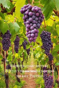 Виноградные мечты: Искусство виноградарства на юге России