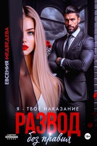 Развод без правил. Я – твоё наказание