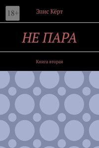 Не пара. Книга вторая