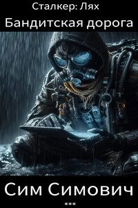 Сталкер: Лях, бандитская дорога