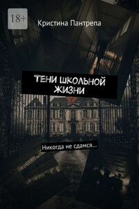 Тени школьной жизни. Никогда не сдамся…