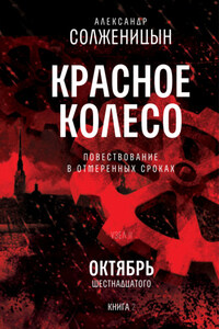 Красное колесо. Узел 2. Октябрь Шестнадцатого. Книга 2. Том 4