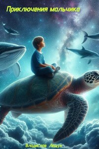 Приключения мальчика