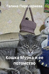 Кошка Мурка и ее потомство