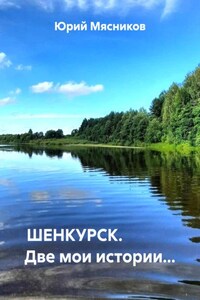 ШЕНКУРСК. Две мои истории…