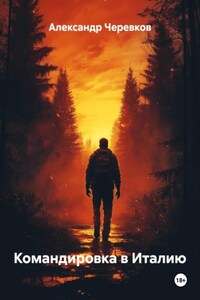 Командировка в Италию