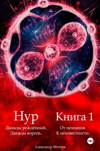 Нур. Дважды рождённый. Дважды король. Книга 1. От незнания. К неизвестности.