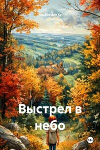 Выстрел в небо