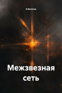 Межзвезная сеть