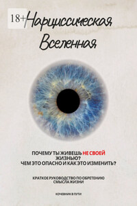 Нарциссическая Вселенная