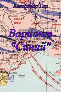 Вариант "Синий"