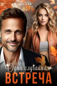 Одна случайная встреча