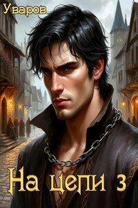 На цепи 3