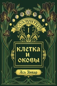 Соллунтер: клетка и оковы