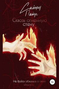 Сквозь огненную стену
