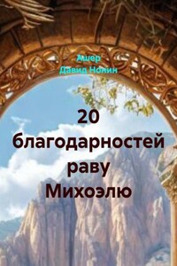 20 благодарностей раву Михоэлю