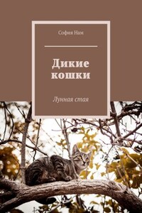 Дикие кошки. Лунная стая