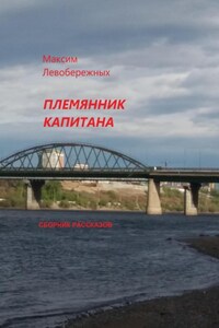 Племянник капитана. Сборник рассказов