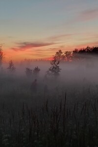 Тринадцатый отряд
