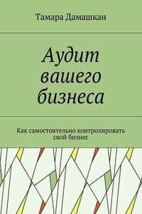 Аудит вашего бизнеса. Как самостоятельно контролировать свой бизнес