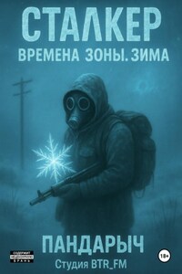 Сталкер. Времена зоны. Зима