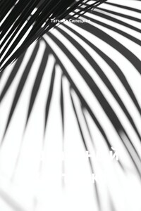 Идеальный контракт