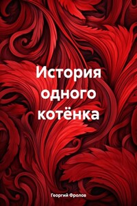 История одного котёнка