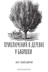 Приключения в деревне у бабушки