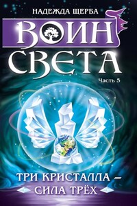 Воин света. Часть 5. Три кристалла – сила трёх