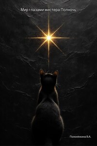 Мир глазами Мистера Полночь