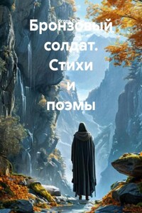 Бронзовый солдат. Стихи и поэмы