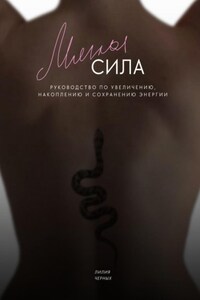 Мягкая сила. Руководство по увеличению, накоплению и сохранению энергии