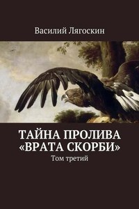 Тайна пролива «Врата скорби». Том третий