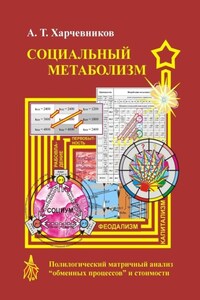 Социальный метаболизм. Полилогический матричный анализ «обменных процессов» и стоимости